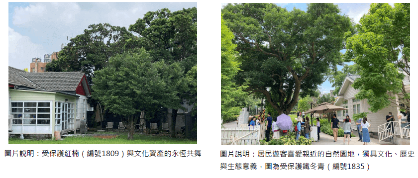 樹木照片